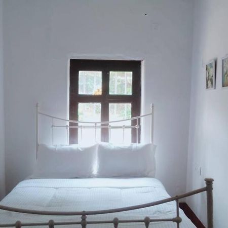 A Quaint Cottage With Rajah'S Seat View. Madikeri Eksteriør bilde