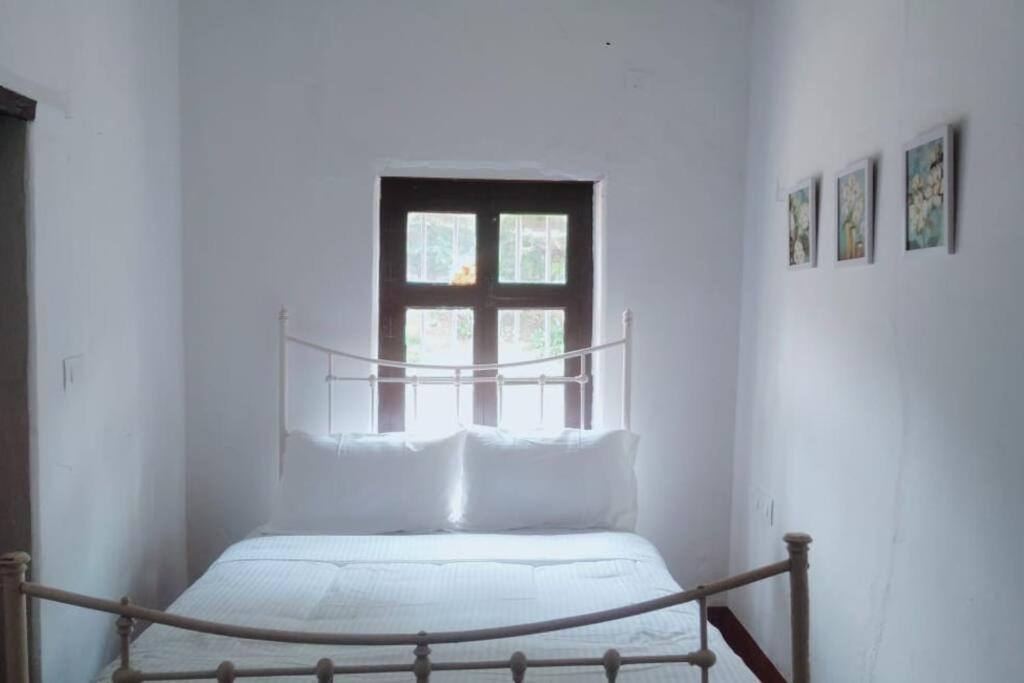 A Quaint Cottage With Rajah'S Seat View. Madikeri Eksteriør bilde