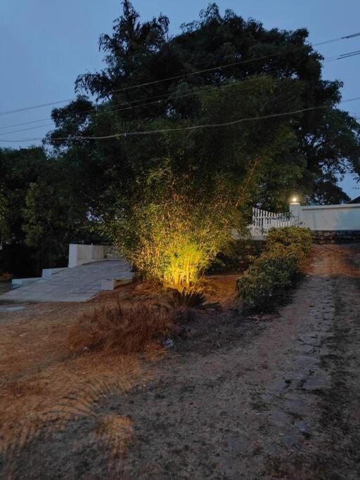 A Quaint Cottage With Rajah'S Seat View. Madikeri Eksteriør bilde