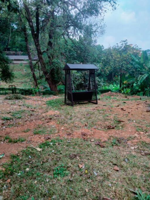 A Quaint Cottage With Rajah'S Seat View. Madikeri Eksteriør bilde